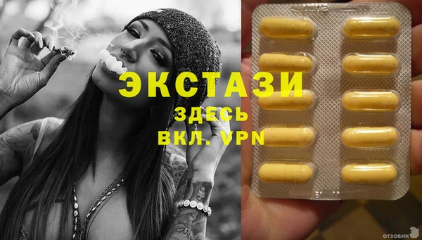 мет Алексин